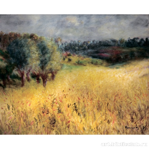 Пшеничное поле