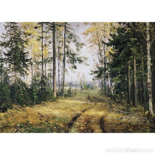 Дорога в лесу