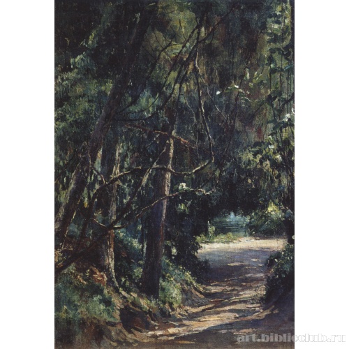 Аллея в старом парке