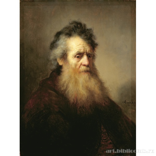 Портрет старика