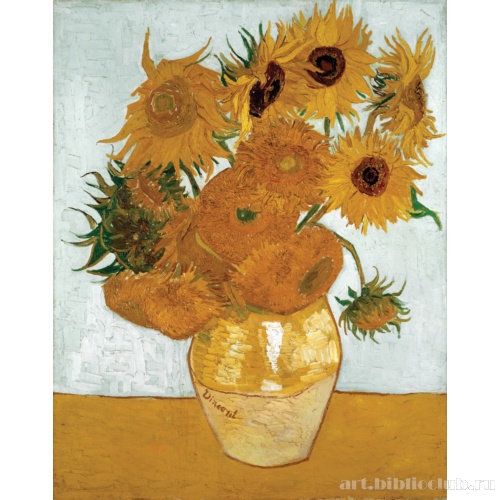 Подсолнухи