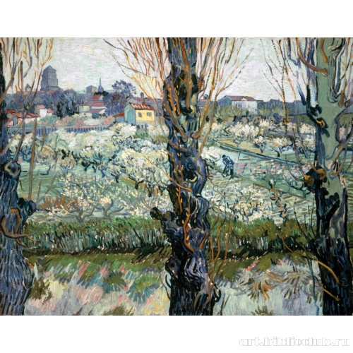 Вид на Арль