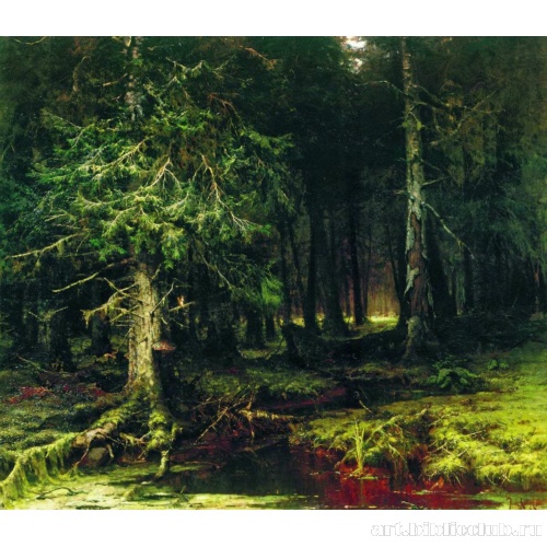 Девственный лес