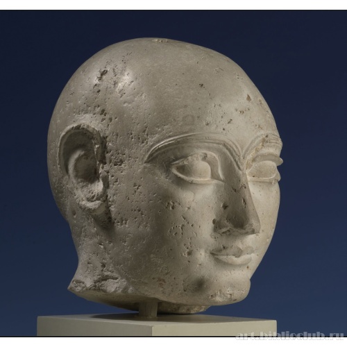 Мужская голова