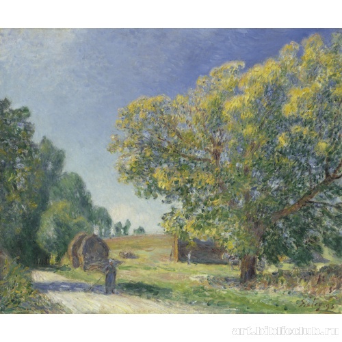 Лесная поляна