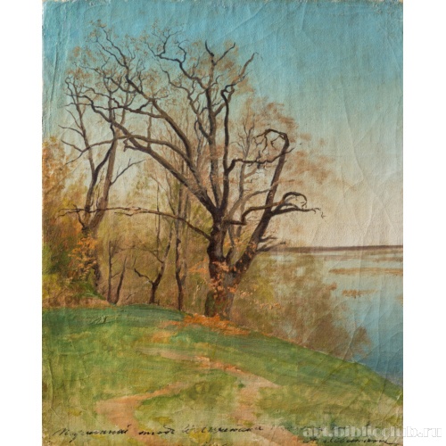 Дуб на берегу реки