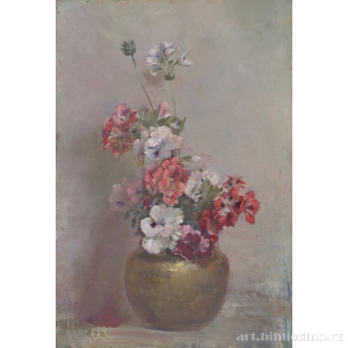 Пеларгонии