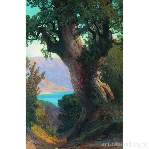 Дерево над обрывом