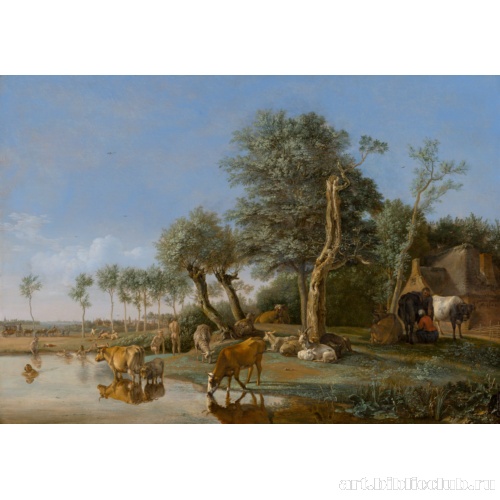 Коровы, отражающиеся в воде