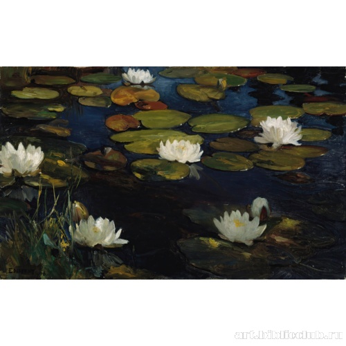 Водяные лилии
