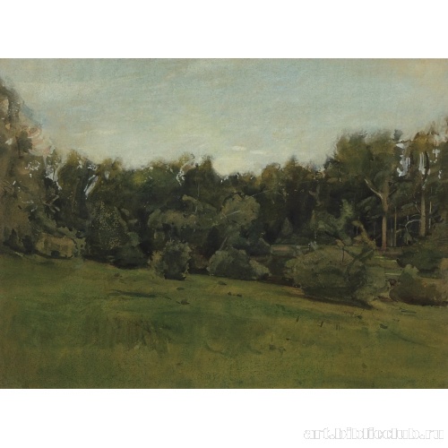 Опушка леса. Лигово