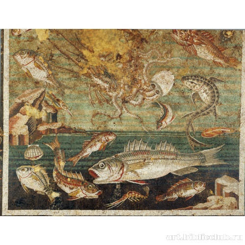 Дом Фавна. Мозаики