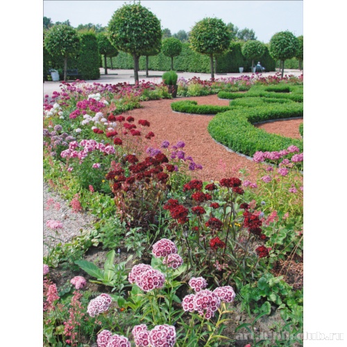 Дворцовый парк