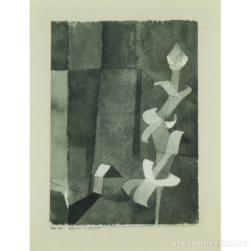 Растение в саду