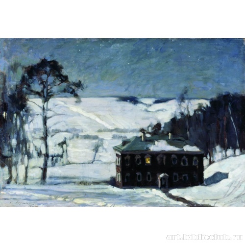 Лунная ночь зимой