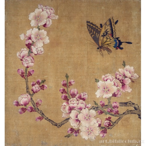 Цветущая слива с бабочкой