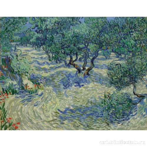 Оливковый сад