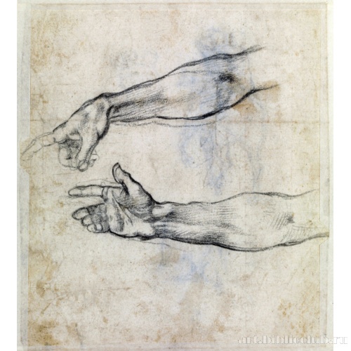 Эскиз рук для фрески «Опьянение Ноя» (плафон Сикстинской капеллы)