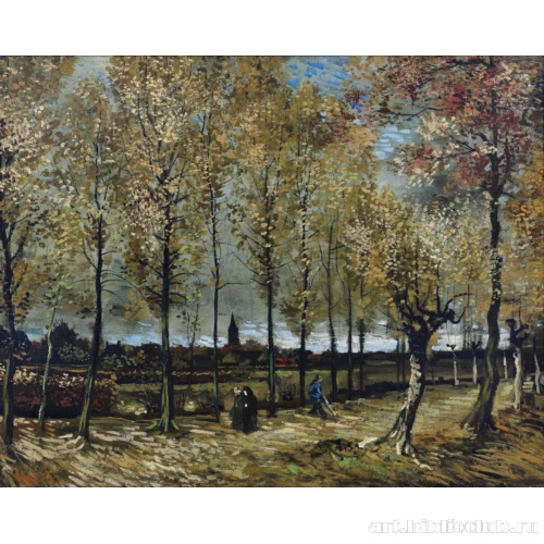 Тополя у Нюэнена