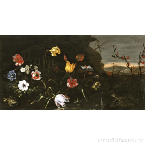 Цветы возле пруда с лягушками