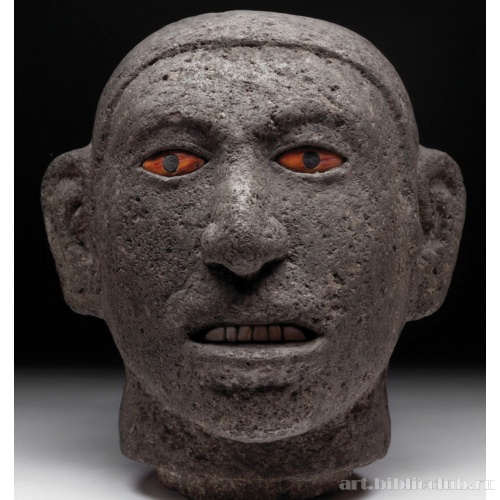 Голова молодого человека