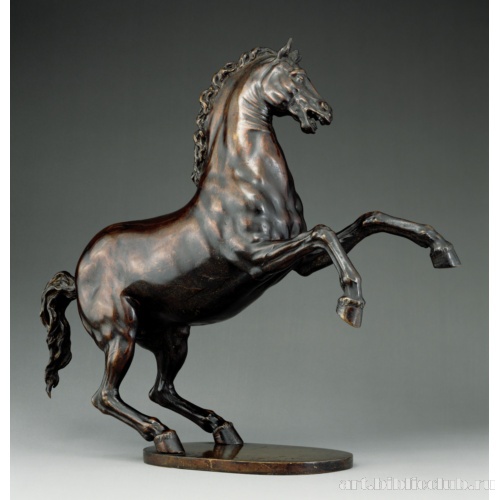 Вставшая на дыбы лошадь