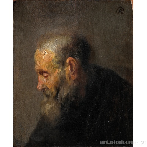 Этюд профиля старика