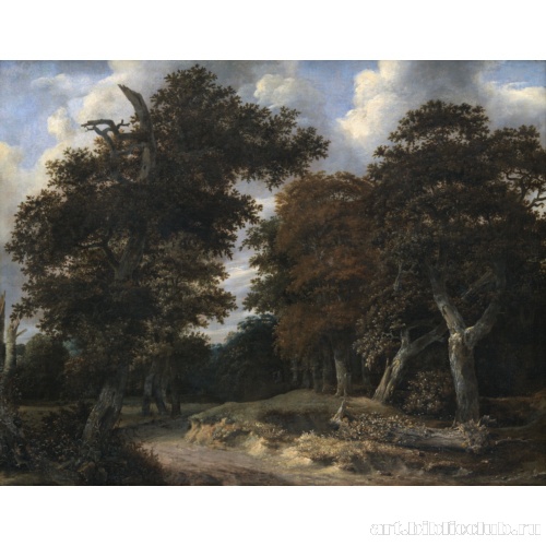 Дорога через дубовый лес