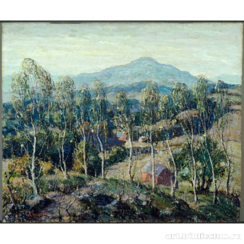 Березы Новой Англии