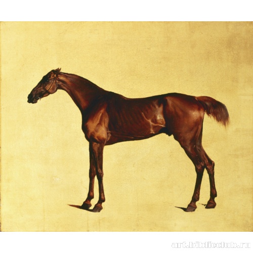 Панглосс