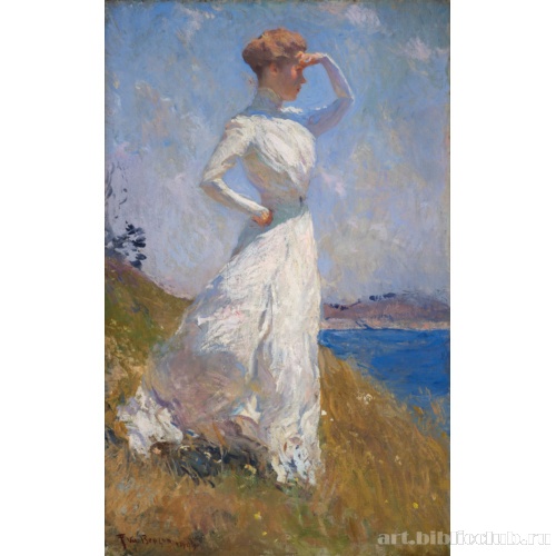 Солнечный свет