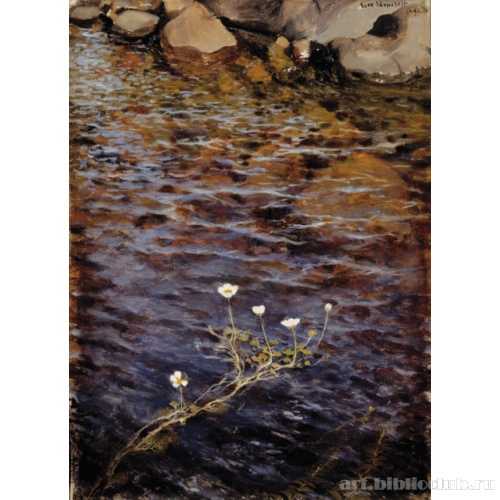 Водяной лютик