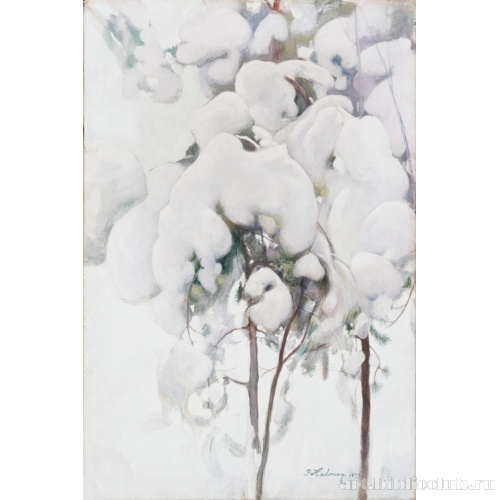 Молодые сосны под снегом