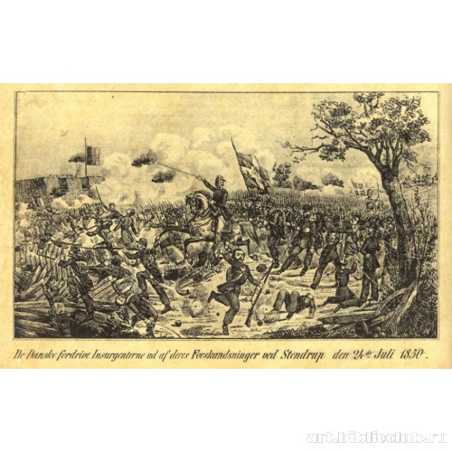 Датчане изгоняют восставших