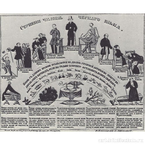 Этапы человеческой жизни