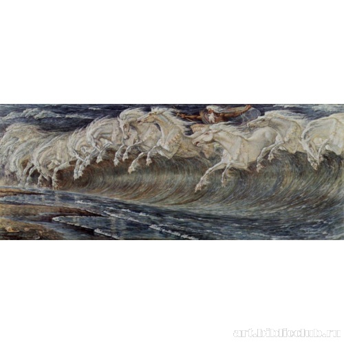 Кони Нептуна