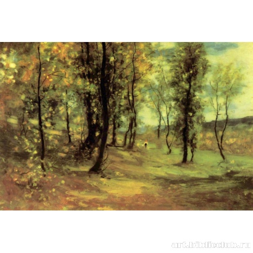 Просека в лесу