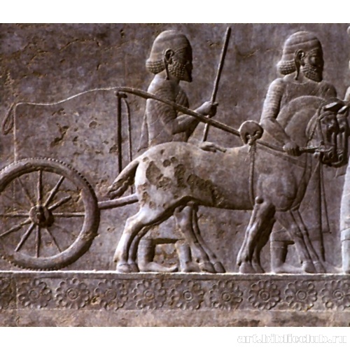 Данники. Рельеф из Персеполя. 5 В. до н. э.. Рельеф колесница Ассирии. Скотоводство в Ассирии. Древняя Ассирия колесницы.