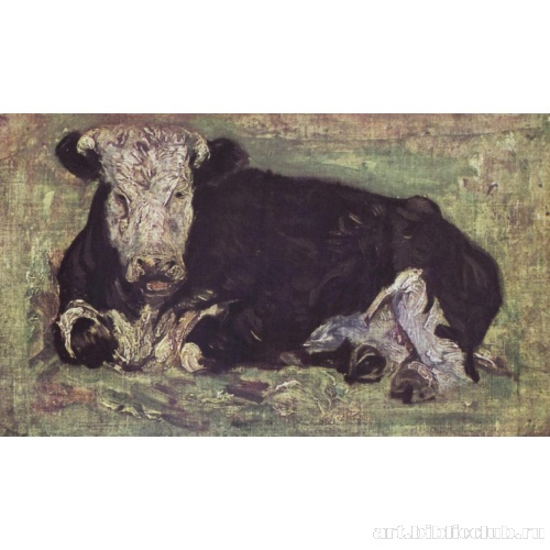 Лежащая корова