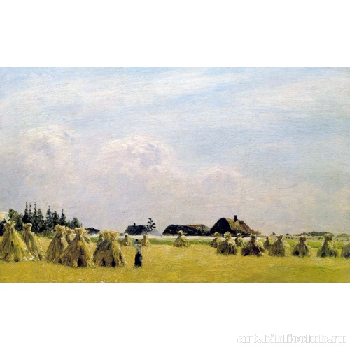 Сжатое поле