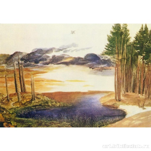 Лесной пруд