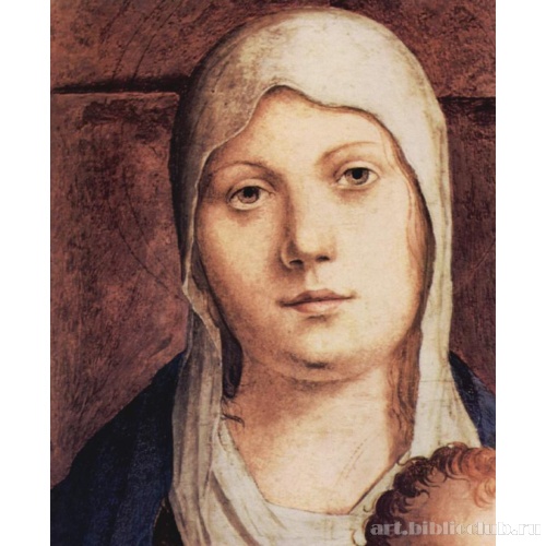 Мадонна на троне, фрагмент, Pala di San Cassiano, Венеция. Деталь: голова Мадонны