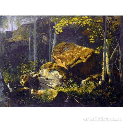 На Валааме. Камни в лесу