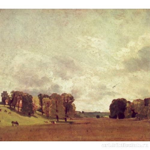 Вид на Эпсом