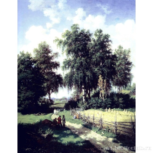 Вид окрестностей города Гатчины