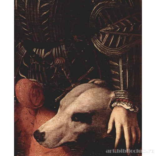 Портрет Гвидобальдо II делла Ровере, герцога Урбинского. Деталь: собака