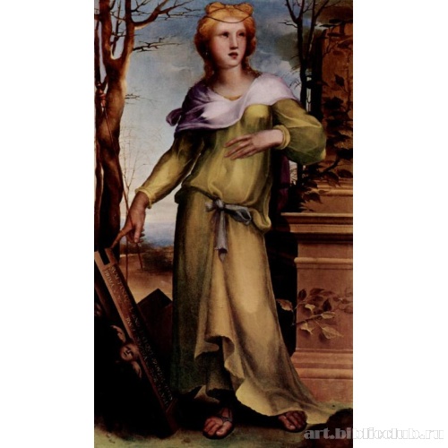 Танаквилла