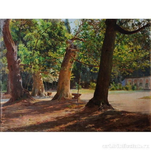 Дубы и платаны. Фраскати