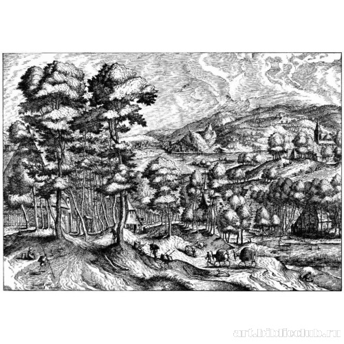 Сельские торговцы