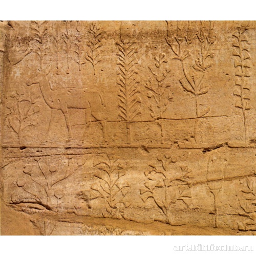 Рельеф с изображением «ботанического сада»